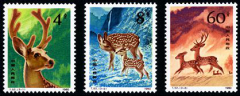 T52 梅花鹿邮票